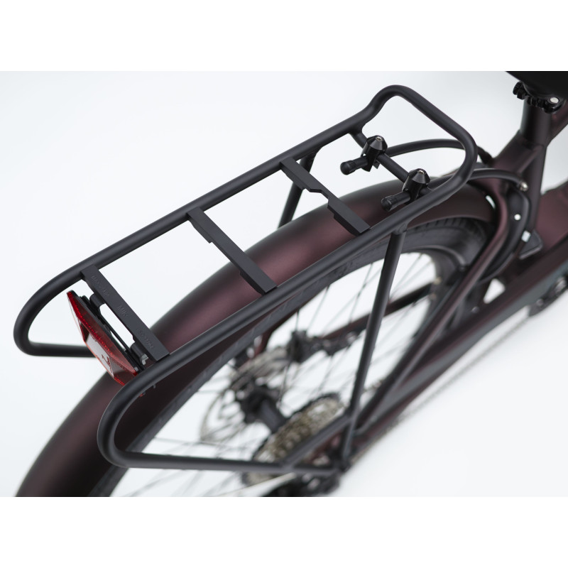 Rower ELECTRA Townie Path Go! 10D EQ z ramą w wersji męskiej