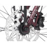 Rower ELECTRA Townie Commute Go! 5i z ramą w wersji damskiej