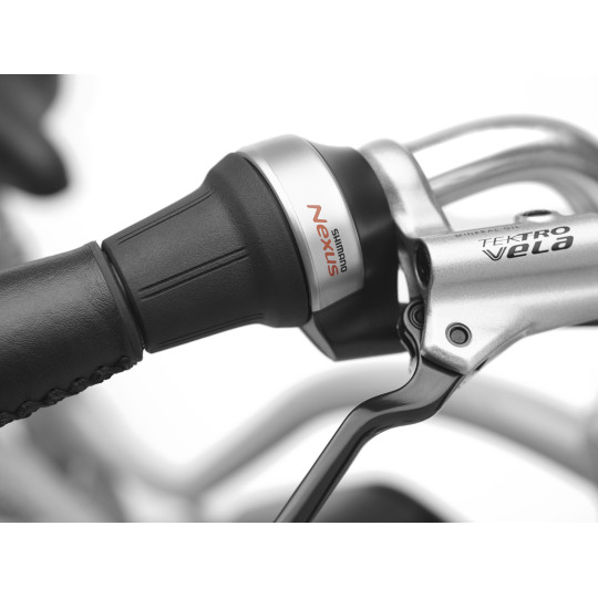 Rower ELECTRA Townie Go! 5i z ramą w wersji damskiej