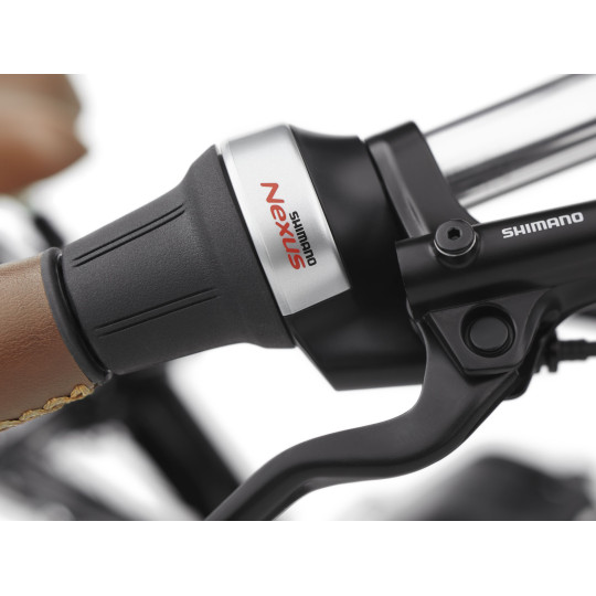 Rower ELECTRA Townie Commute Go! 5i z ramą w wersji męskiej