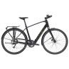Rower TREK FX+ 2 LT