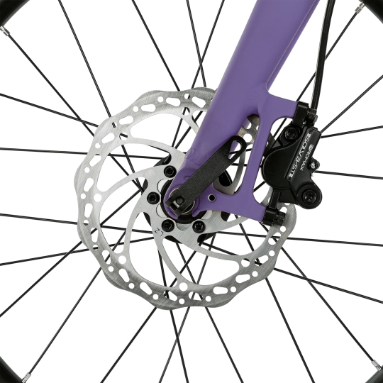 EIGHTSHOT X-COADY 20 SL DISC