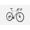 Rower TREK Domane AL 2 Gen 4