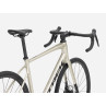 Rower TREK Domane AL 2 Gen 4