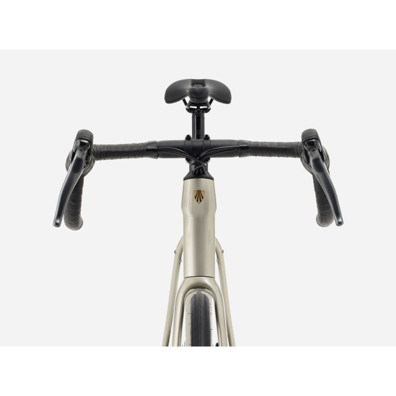 Rower TREK Domane AL 2 Gen 4