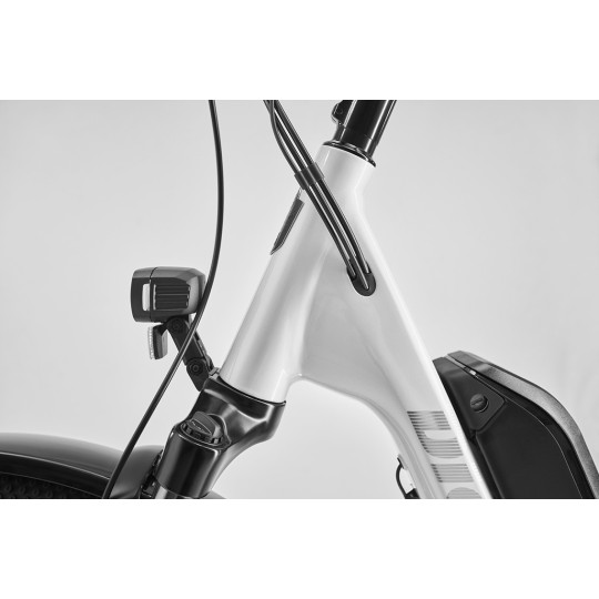 Rower DIAMANT Zing Trip Core.II 800